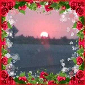 Meet your Posher, Berry